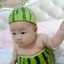 놀부부대찌개홈플러스
