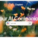 마신소프트 이미지