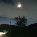 여름밤 야경 이미지