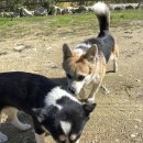 무수리경로당 이미지