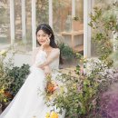 깨끗주의보