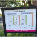 도래재별빛마을캠핑장 | 밀양 오토캠핑장 뷰맛집 도래재 별빛마을 캠핑장 소개
