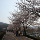 꽃동산어린이공원-2 이미지