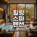 펜션블루빌 | 블루빌스파펜션 완벽 가이드! 객실 스파부터 이용 팁까지 총정리