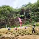 양산조경