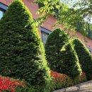 친절한 해든약국 이미지