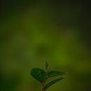 하나로동물약품 | 새집증후군 업체 선정을 위한 꿀팁