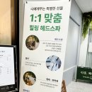 로엘헬스케어 | 운정 헤드스파 탈모가 고민될 때 두피케어 받고 힐링하는 공간 로엘바이헤어