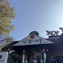 팔당초계국수 | 팔당맛집 팔당초계국수 본점 오랜만에 재방문했는데..