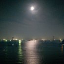 (주)대교산업 중국관 | 부산 야경 여행 여자 혼자서도 안전하게 즐길 수 있는 코스 추천