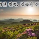 꽃길만걷자6 이미지