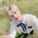 세림