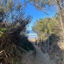 3233 | [호주여행 멜버른] 그레이트 오션로드 조이투어 12사도 헬기투어는 선택 내돈내산 후기