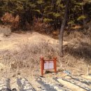 초촌리 고분군 이미지