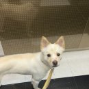 그루밍이즈 이미지