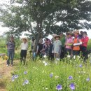 학교농장 이미지