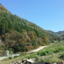 범이농장 이미지