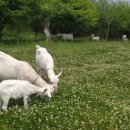 테니스민박 이미지