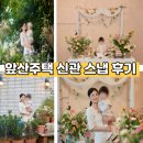 비욘드미디어 | 대구 소규모 직계가족 앞산주택 신관 돌잔치 주차장 식사 음식 비욘드더데이 스냅 후기 내돈내산