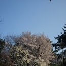 트리플에스리더 | tripleS - <My Secret New Zone>; 멈춰서 너를 보았어