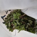 비지1리 이미지