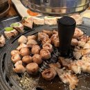 솥뚜껑생막창 이미지