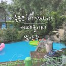 개떼놀이터 남양주 [애견운동장 강아지놀이터 펫 반려견] | 강아지랑 서울근교 애견카페 가볼만한곳 : 남양주 개떼놀이터 + 애견동반식당 !