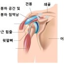삼성바른신경외과 이미지