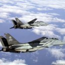 F14 이미지