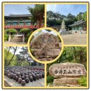 편백산림욕장 진입로 | 부산지역 인기명산 탐방 제6편 &#39;달음산(達陰山)&#39;