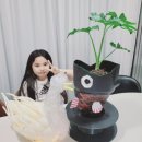 키즈 아티스트 글로벌이코노믹