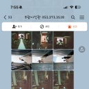 부광사진관 이미지