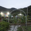 금마늘마을 이미지