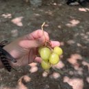 산천지 | 북한산 인수봉 산천지길 등반 - 한국의 맛, 짭짤한 슬랩
