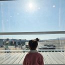 유하꼬치점 | 7인 대가족 가오슝 여행 1일차! 제주항공 영유아 사전좌석 꿀팁 & 포모사역 크리스마스 🎄
