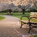 주공5단지 4가 4 | 신혼부부 산본주공 4단지 vs 5단지 임장 후기 직접 가보고 느낀 솔직 차이