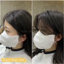 비쥬얼봄 이미지
