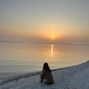 종현농어촌체험휴양마을협의회 이미지