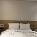 은하침구 이미지