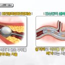 대신종축 이미지
