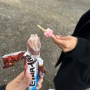 전궁로 | 용인 캠핑야미 | 장보기 귀찮을 땐? 몸만 가는 용인 캠핑야미 🚗 낮 방문 후기 - 매점, 주차, 생태체험 등