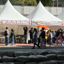 [부산/부산대] 부산 10월 축제 ‘제7회 라라라 페스티벌’ 직접 가본 후기 부산대 놀거리
