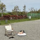 씨유부산초량제일점 | 부산항 힐링야영장 34번 데크 후기 | 역대급 시설 깨끗한 부산 캠핑장 추천 | 매점 없음 꿀팁