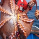 잡아잡아낚시카페 이미지