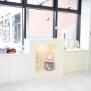 테일러퍼피 이미지