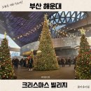 애니카랜드 김해중앙점 | 부산 크리스마스 빌리지 마켓 주차 패스트트랙 예약 주말 꿀팁 먹거리