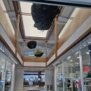 안성슈퍼 | 안성 팜랜드 근처 카페인데 챗베이커만 왜 이래 (직접후기)