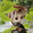 모노모노(monomono) 이미지