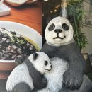 투썸플레이스부산사상점 | 부산사상찐맛집 홍유단 사상점 정말 맛있었던 런치A세트 후기