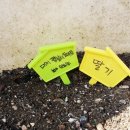 딸기안마시술소 티스토리